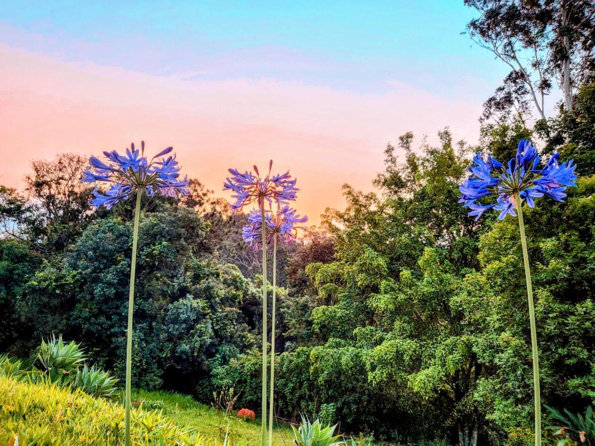 Pousada Dharma Luz E Paz Bragança Paulista Dış mekan fotoğraf
